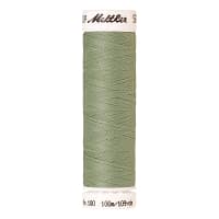 1095 Spanisches Moos